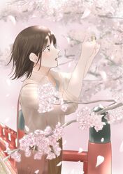 Post 4939599