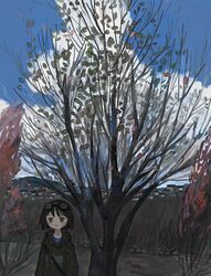 Post 4845588
