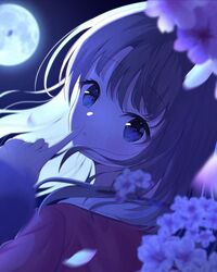 Post 5027800