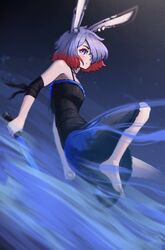 Post 4950031