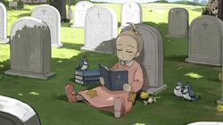 Post 4902011
