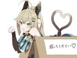 Post 4912051