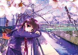 Post 4912565