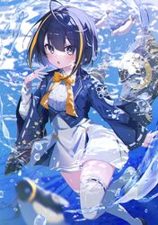 Post 4894537