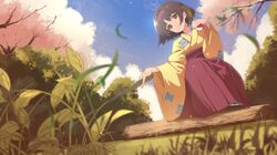 Post 4963098