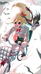 Post 4843048
