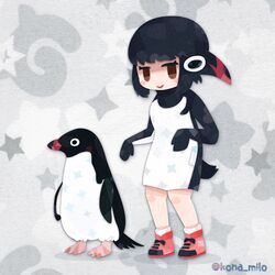 Post 5052072