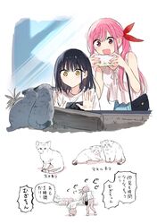 Post 5017881