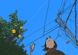 Post 4944509