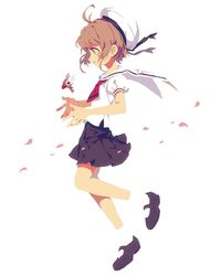 Post 4994499