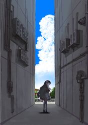 Post 4988811