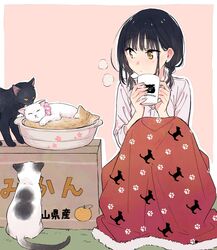 Post 5012920