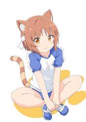 Post 4892076