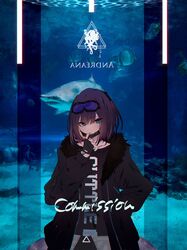 Post 4892331