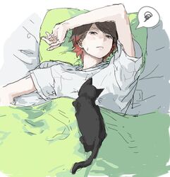 Post 4965179