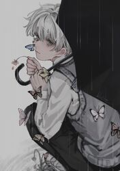 Post 4889493