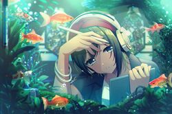 Post 4967347