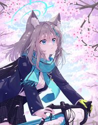 Post 4849896