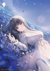 Post 4904191
