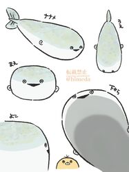 Post 4847067