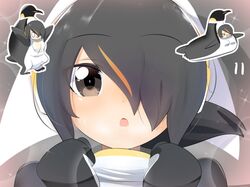 Post 4988026