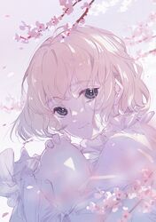 Post 4823314