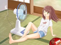 Post 4952541