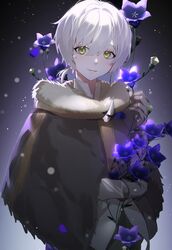 Post 4827197