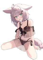 Post 4951596
