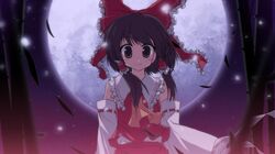 Post 5107207