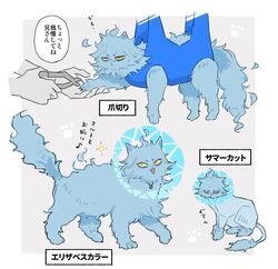 Post 5021721