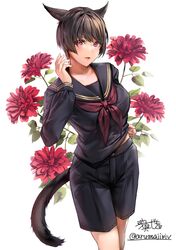 Post 5165181