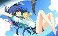 Post 465711