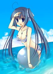 Post 479424
