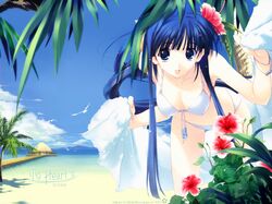 Post 47993