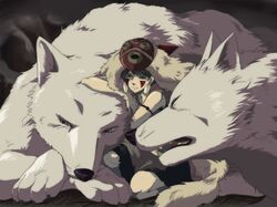 Post 490705