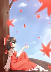 Post 492384