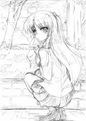Post 494540