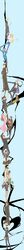 Post 495603