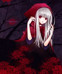 Post 496161