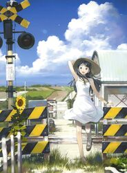 Post 4264