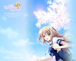 Post 49865