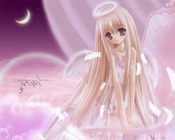 Post 504306