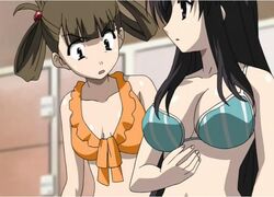 Post 507021