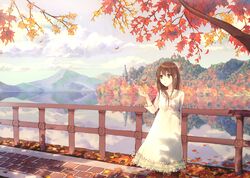 Post 513817