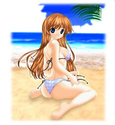 Post 516039