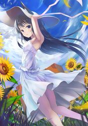 Post 516101