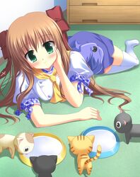 Post 520362