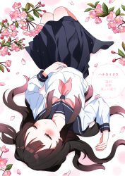 Post 6608331