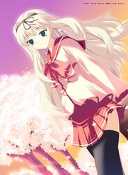 Post 527241